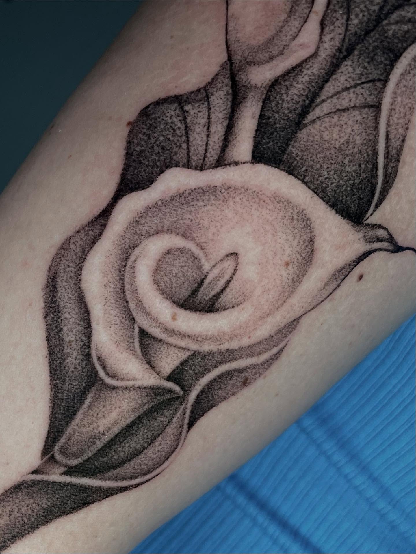 Rose dotwork tattoo on the forearm by Xena