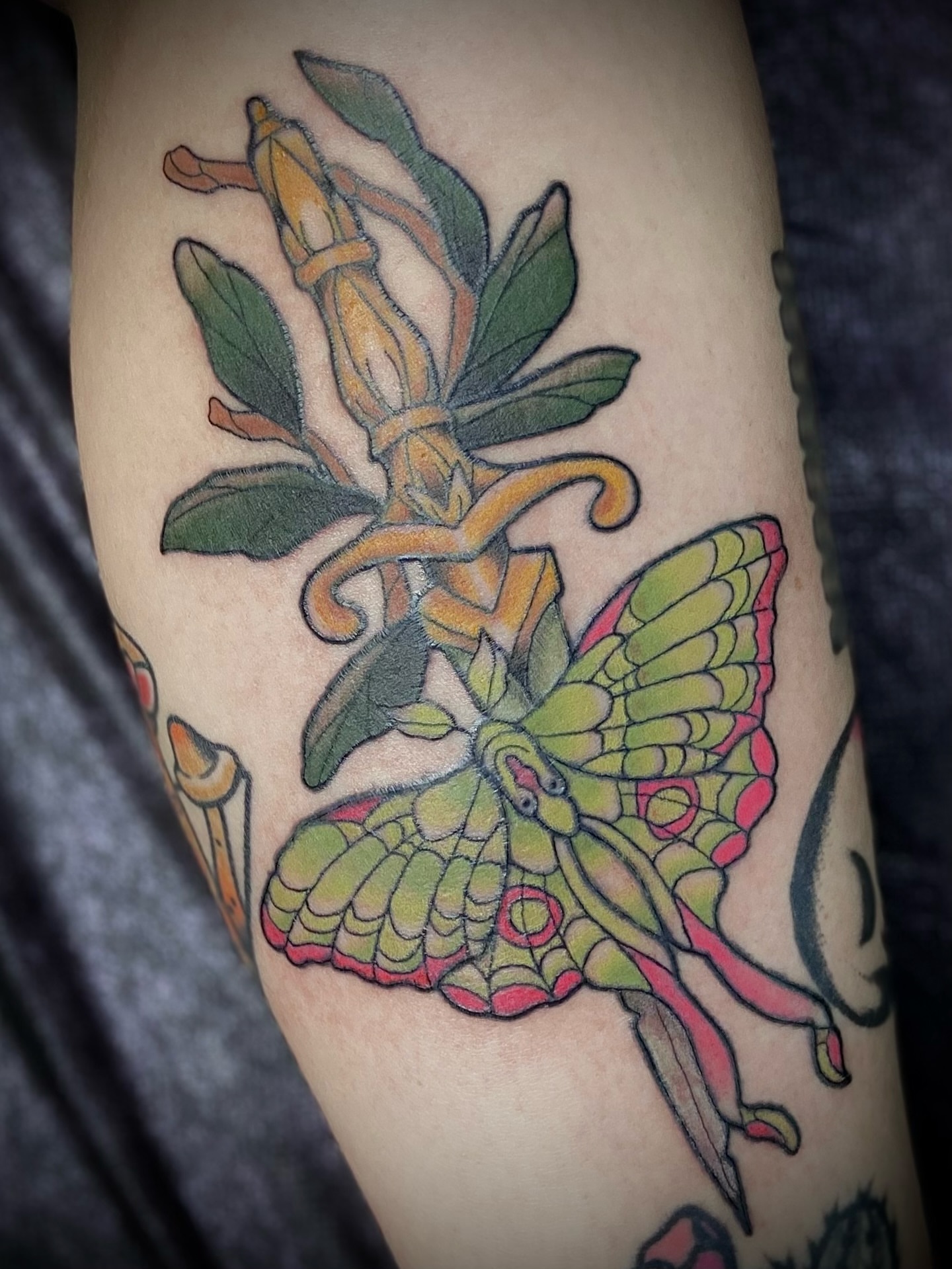 Butterfly and magnolia American traditional tattoo on the thigh by Shelbie, Salt Lake City, Utah