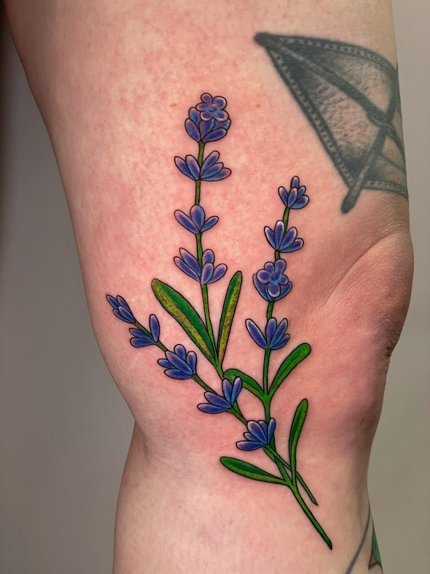Lavender plant realism tattoo on the forearm by Michelle Pomerantz 🌼 Portland Tattoo Artist