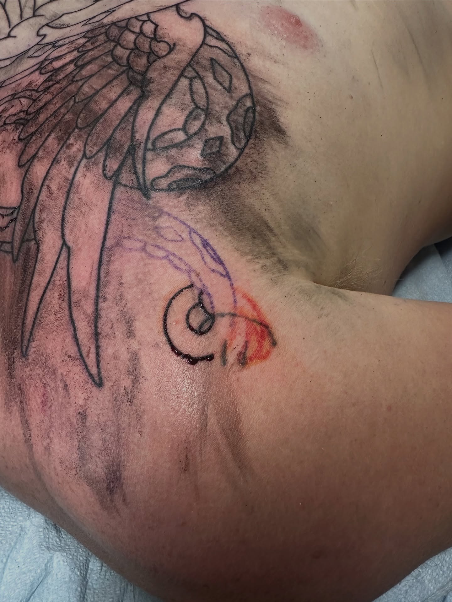 Phoenix black and grey tattoo on the shoulder by Culleton Paramore