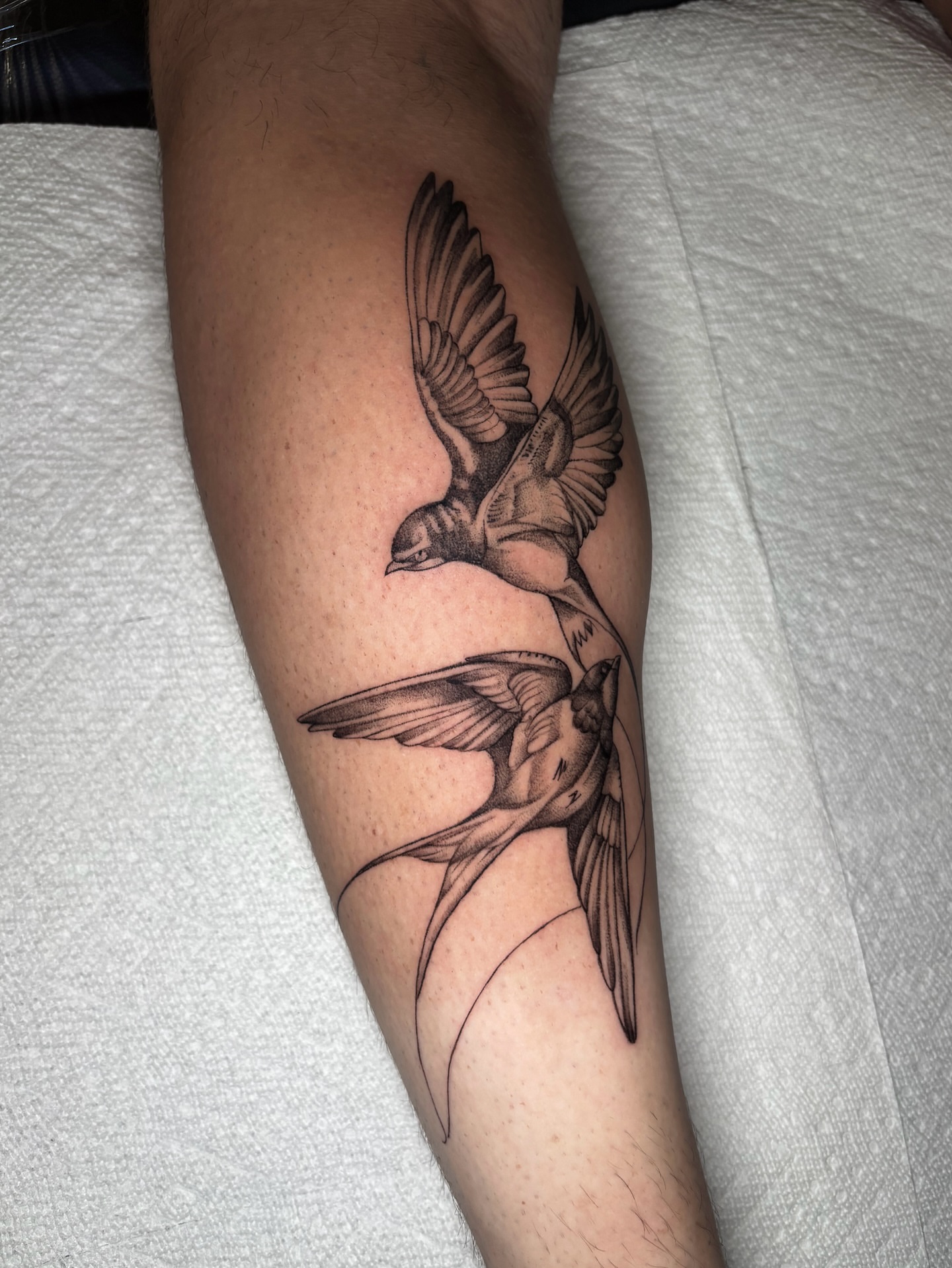 Birds black and grey tattoo on the forearm by 🇰🇷jijitattoo 🇺🇸