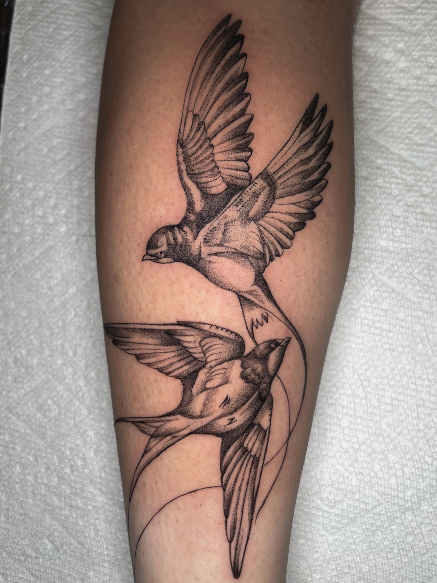 Birds realism tattoo on the forearm by 🇰🇷jijitattoo 🇺🇸