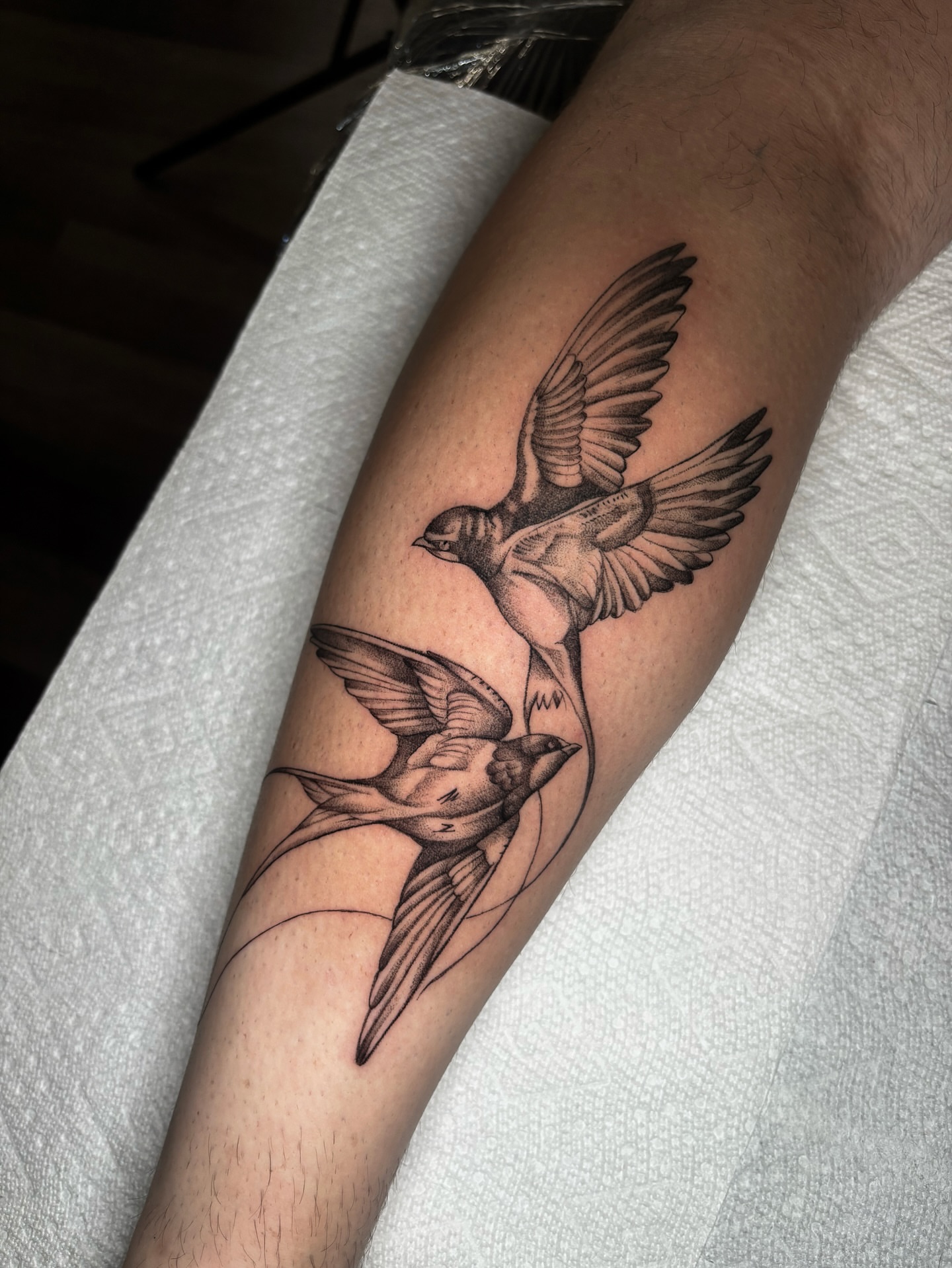 Swallows black and grey tattoo on the forearm by 🇰🇷jijitattoo 🇺🇸