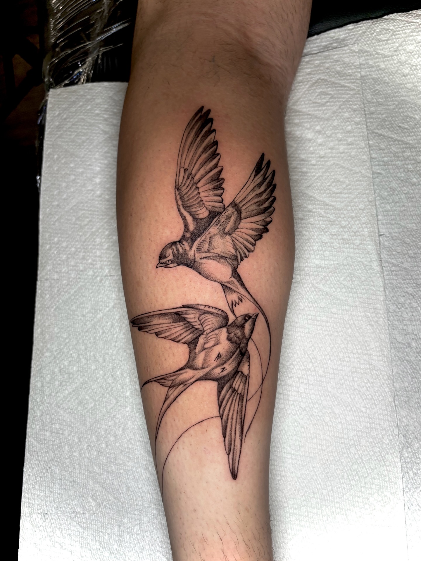 Birds realism tattoo on the forearm by 🇰🇷jijitattoo 🇺🇸
