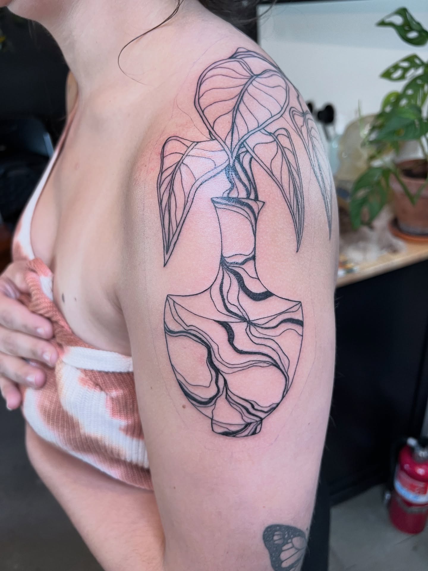 Plant black and grey tattoo on the shoulder by Amanda Leitch