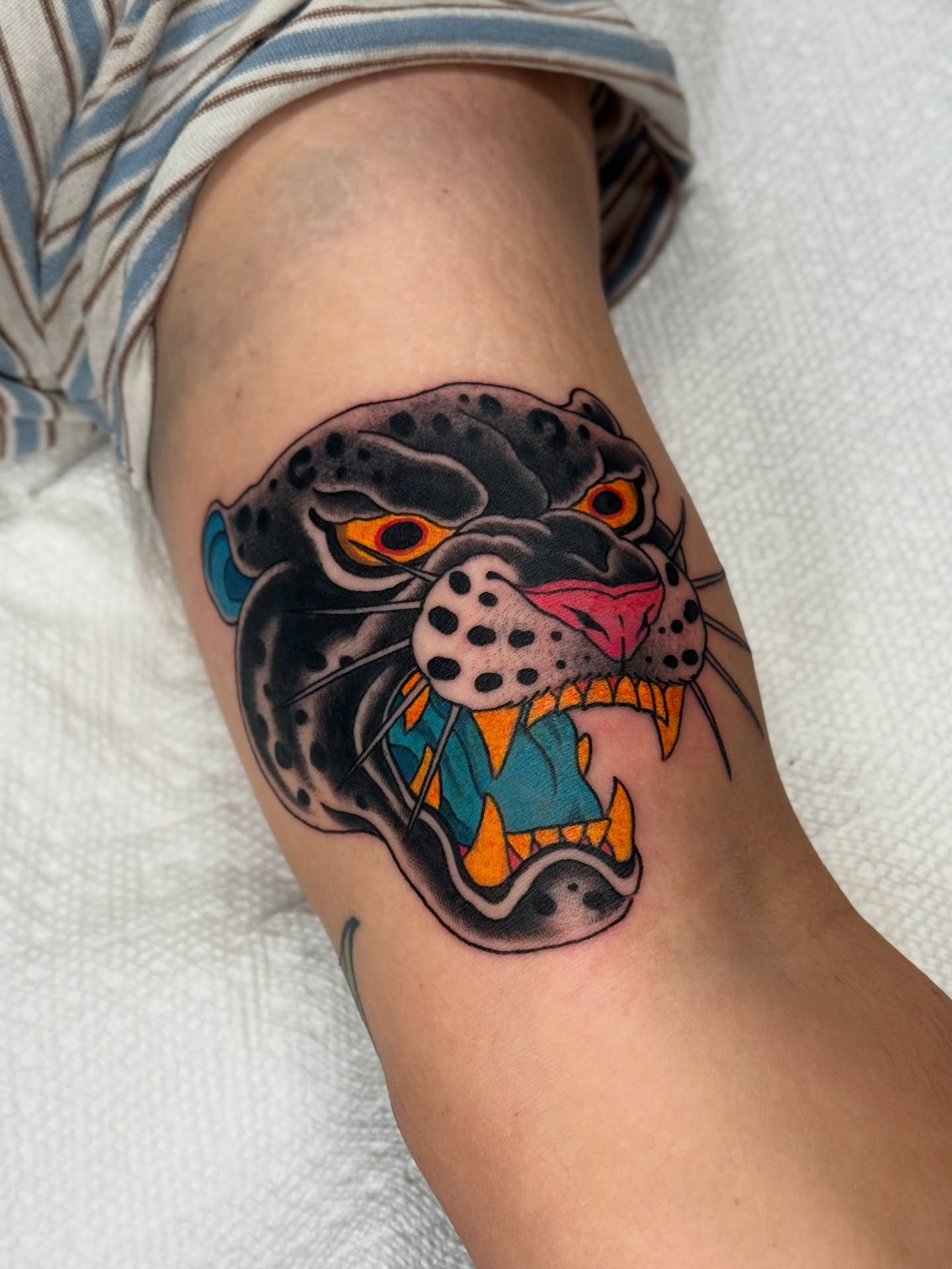 Jaguar head American traditional tattoo on the forearm by Christopher  Cousins, Nashville, Tennessee