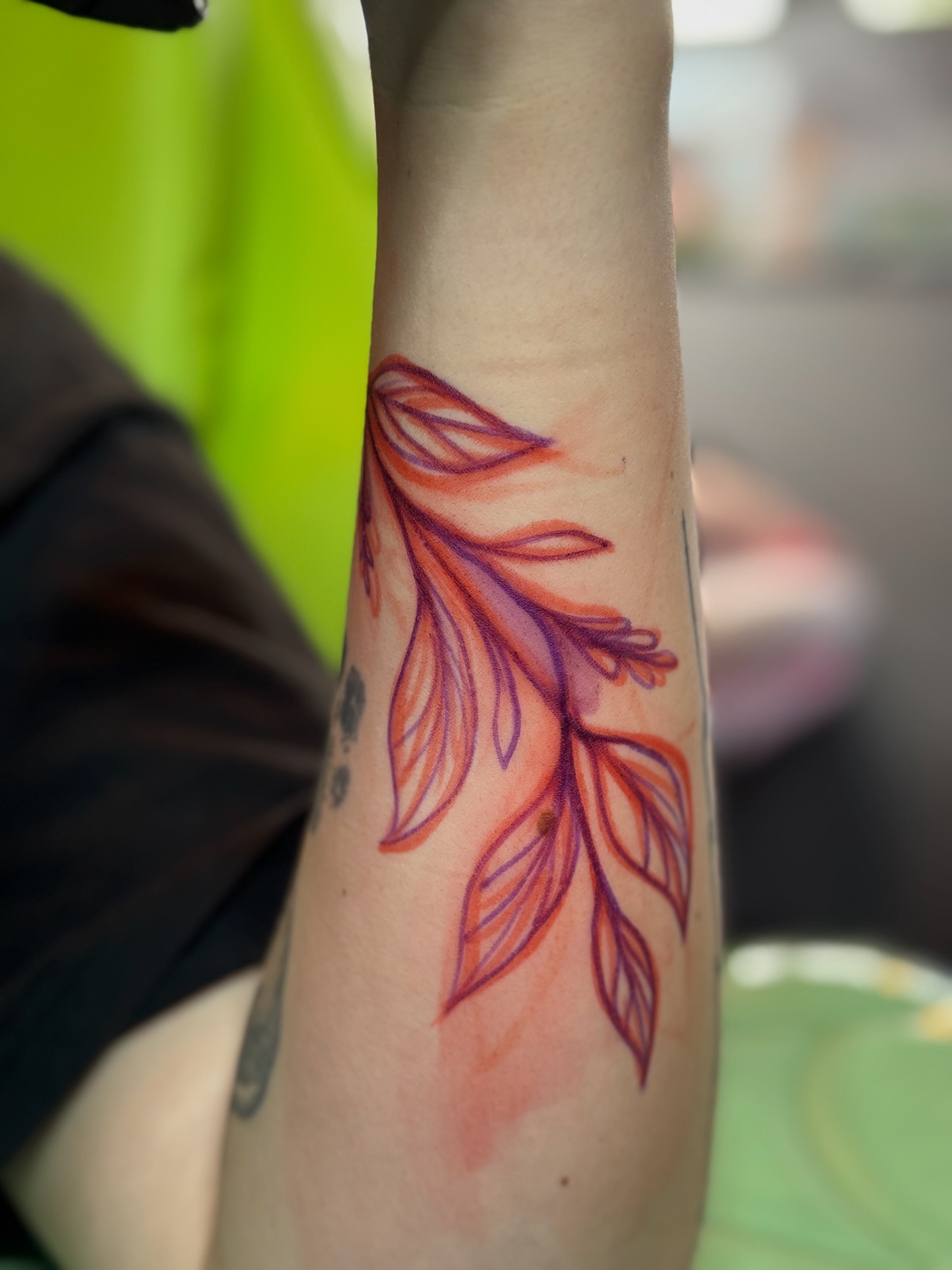 Feather watercolor tattoo on the forearm by Lily Bejarno