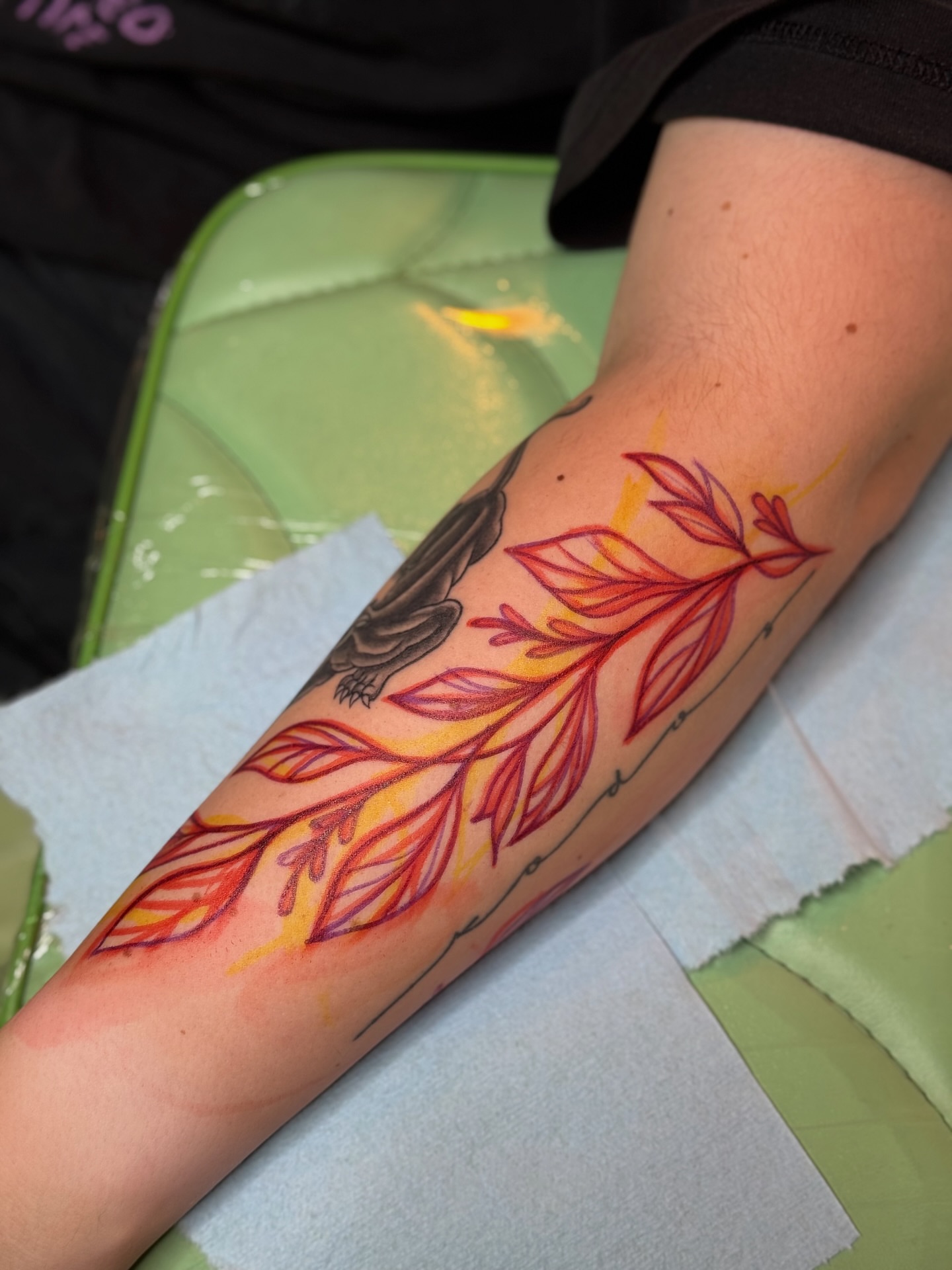 Feather watercolor tattoo on the forearm by Lily Bejarno