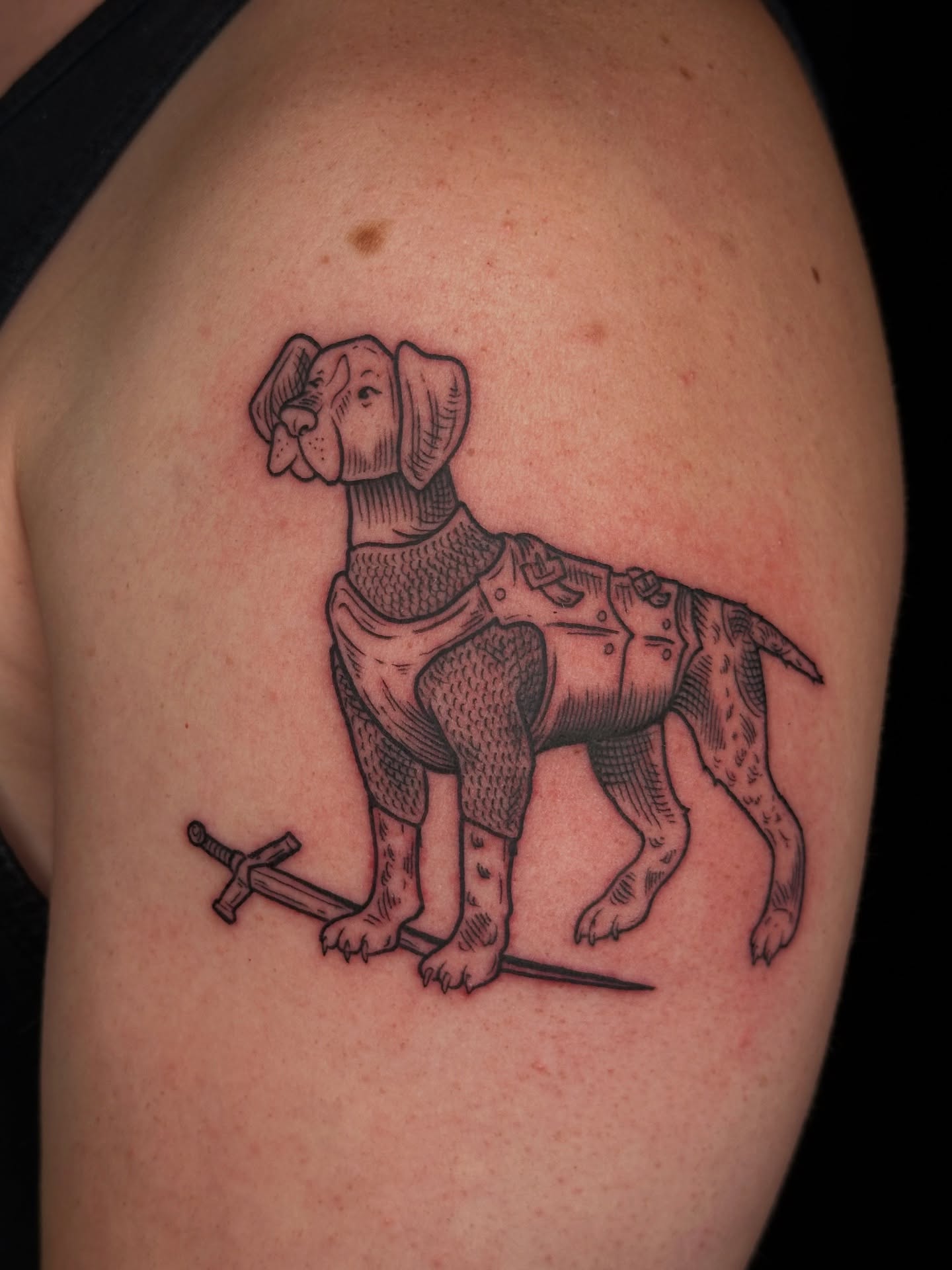 Dog in armor black and grey tattoo on the shoulder by Summer Shield
