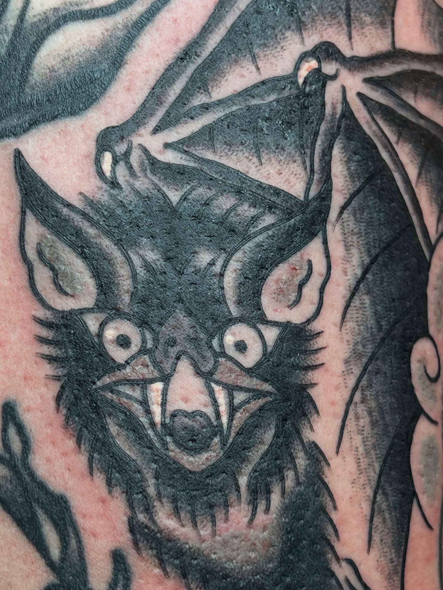 Bat American traditional tattoo on the forearm by Cory Miller