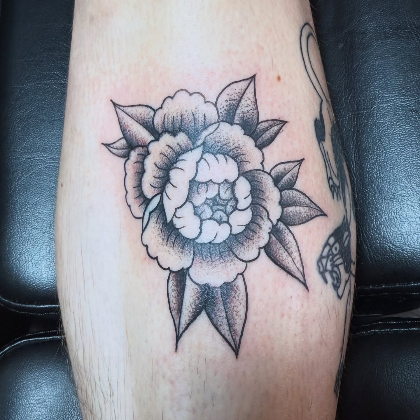 Peony black and grey tattoo on the forearm by @ryanpereztattoo