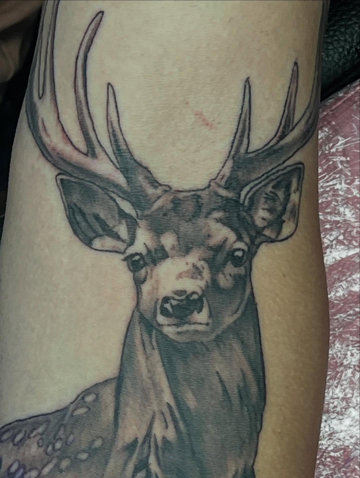 Deer realism tattoo on the forearm by Levi Cox, Powell, Ohio