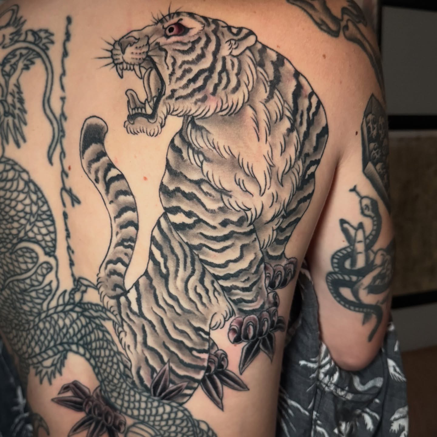 Tiger American traditional tattoo on the back by Leif Hansen