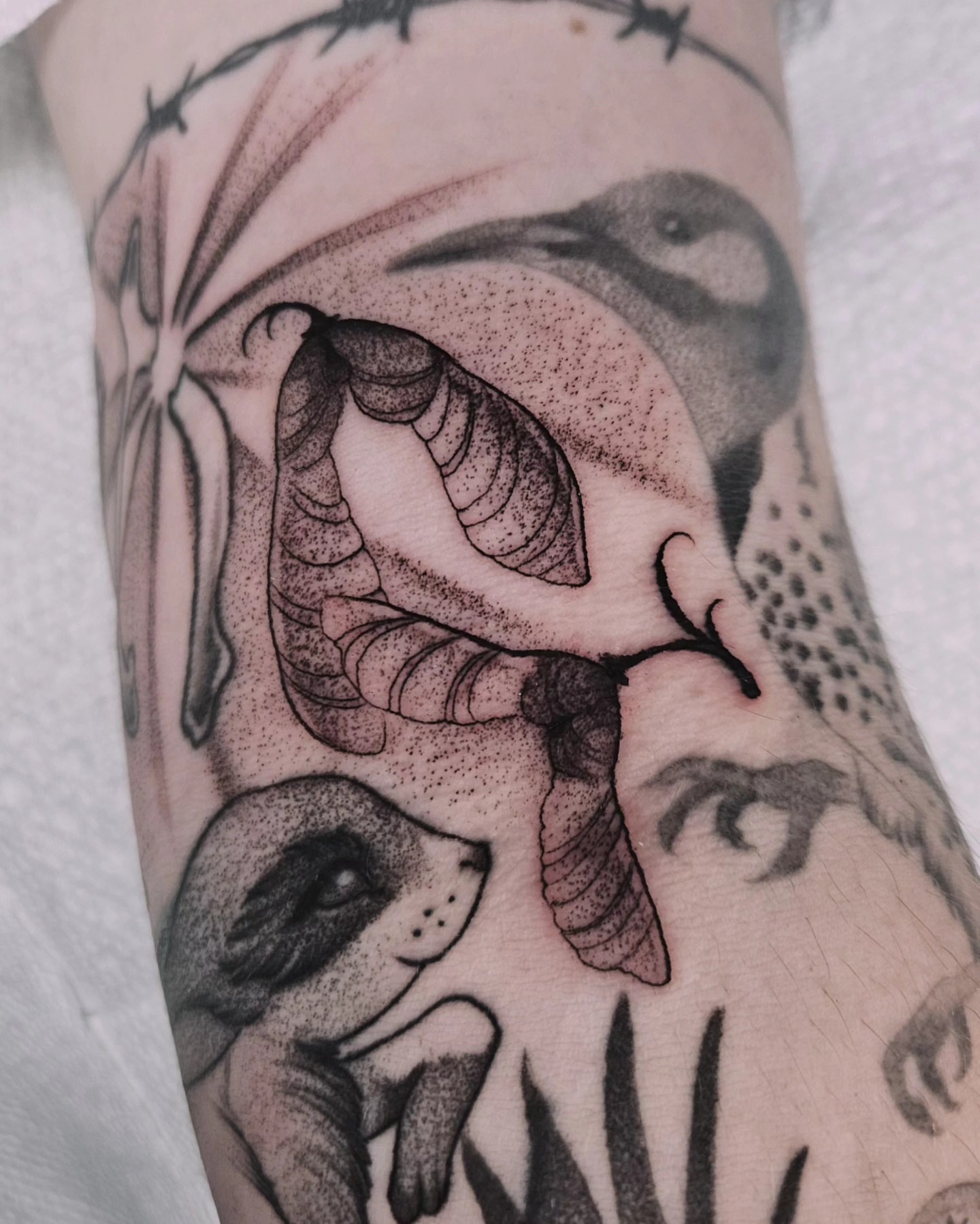 Snake and bird dotwork tattoo on the forearm by Sabrina Wagner
