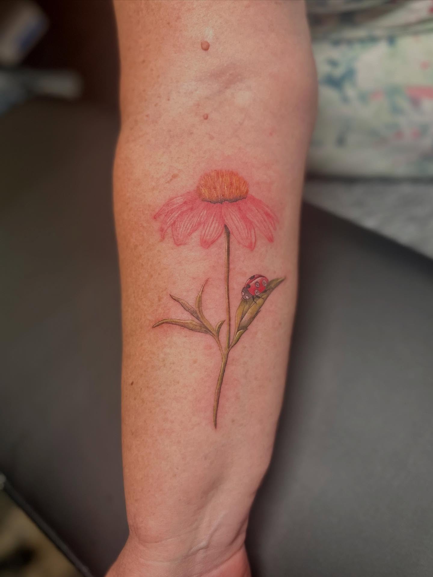 Echinacea flower watercolor tattoo on the forearm by 🌼Kristen Kooster Tattoos🌼