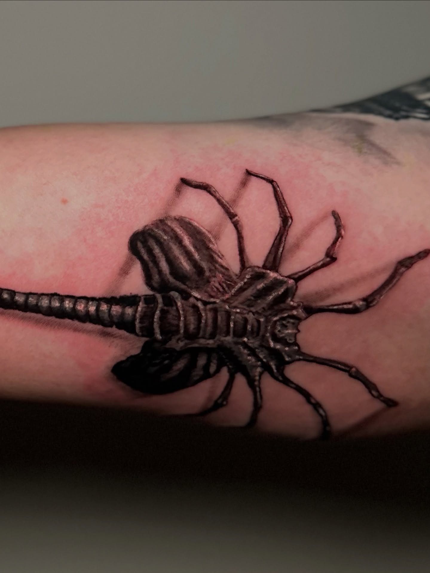 Tattoo by @hectorag_tattoo — black_and_grey, realism