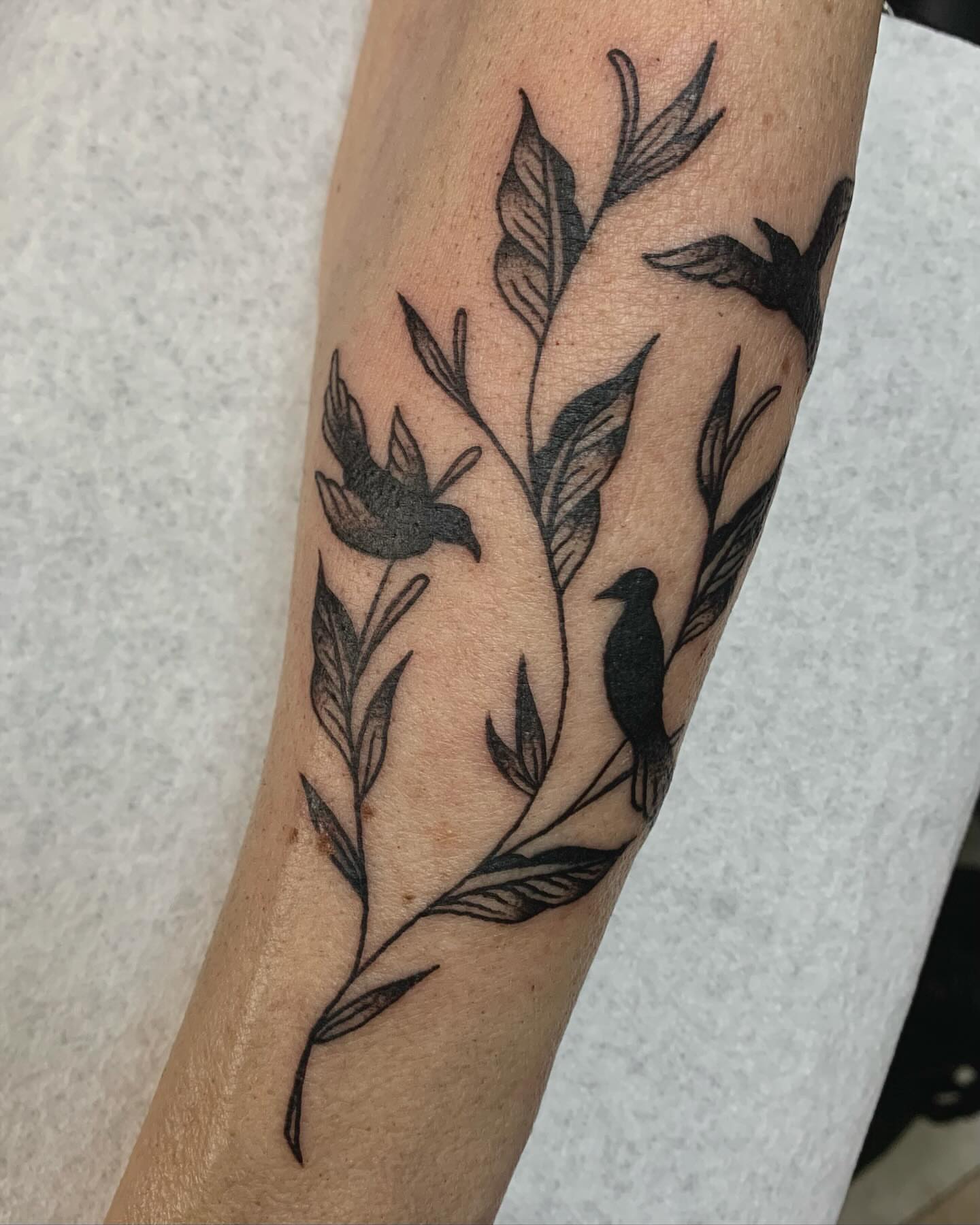 Birds and leaves black and grey tattoo on the forearm by jay