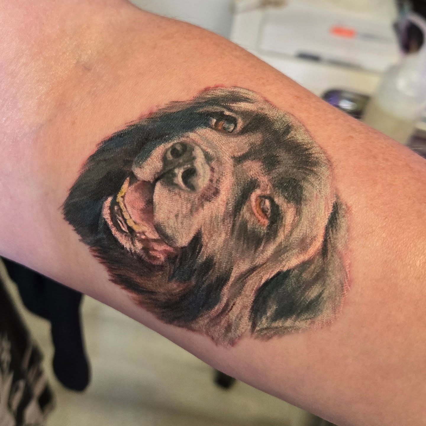 Tattoo by @tattoosbysarahchristine — realism