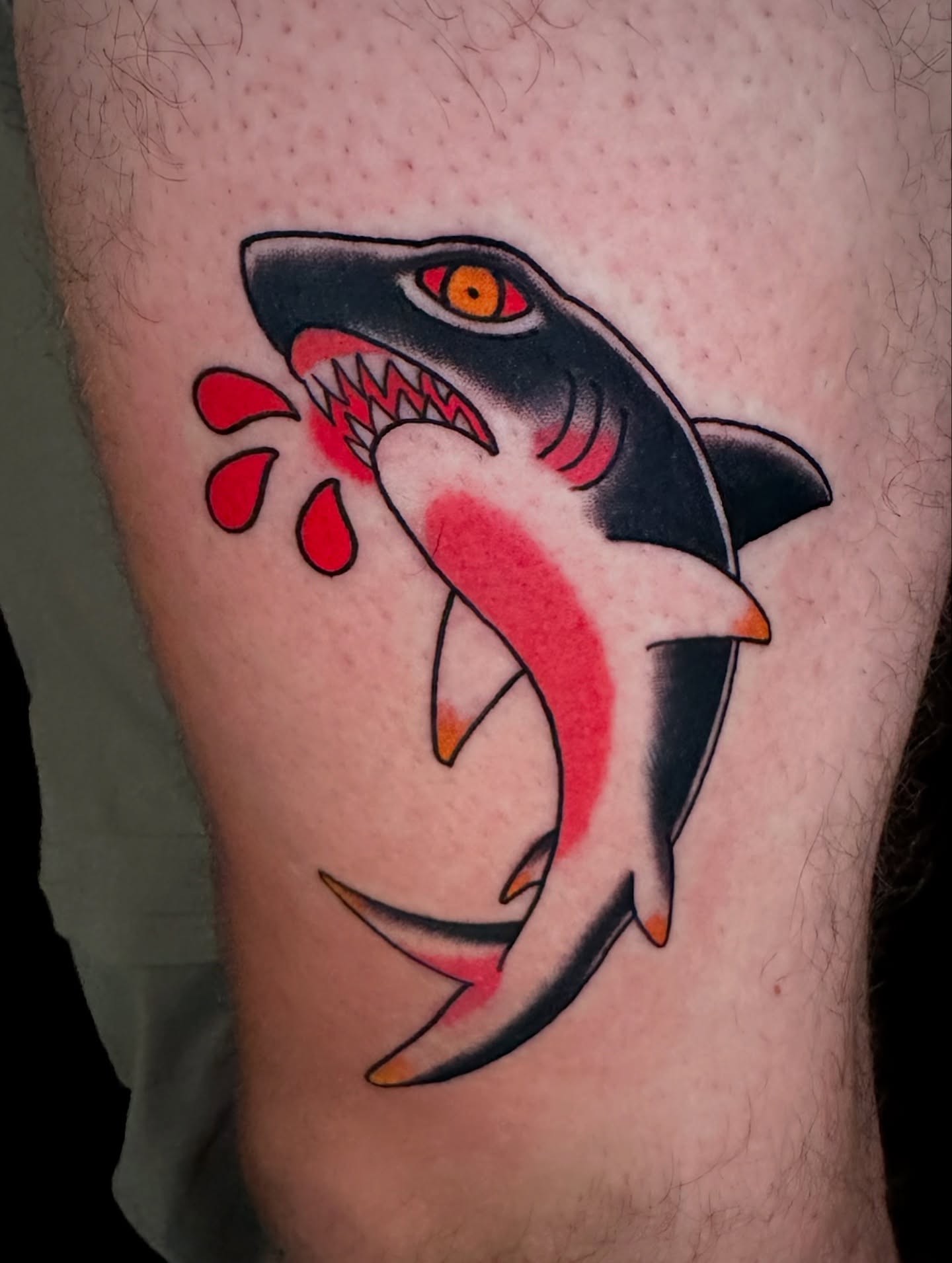 Tattoo by @meanoldtim — american_traditional