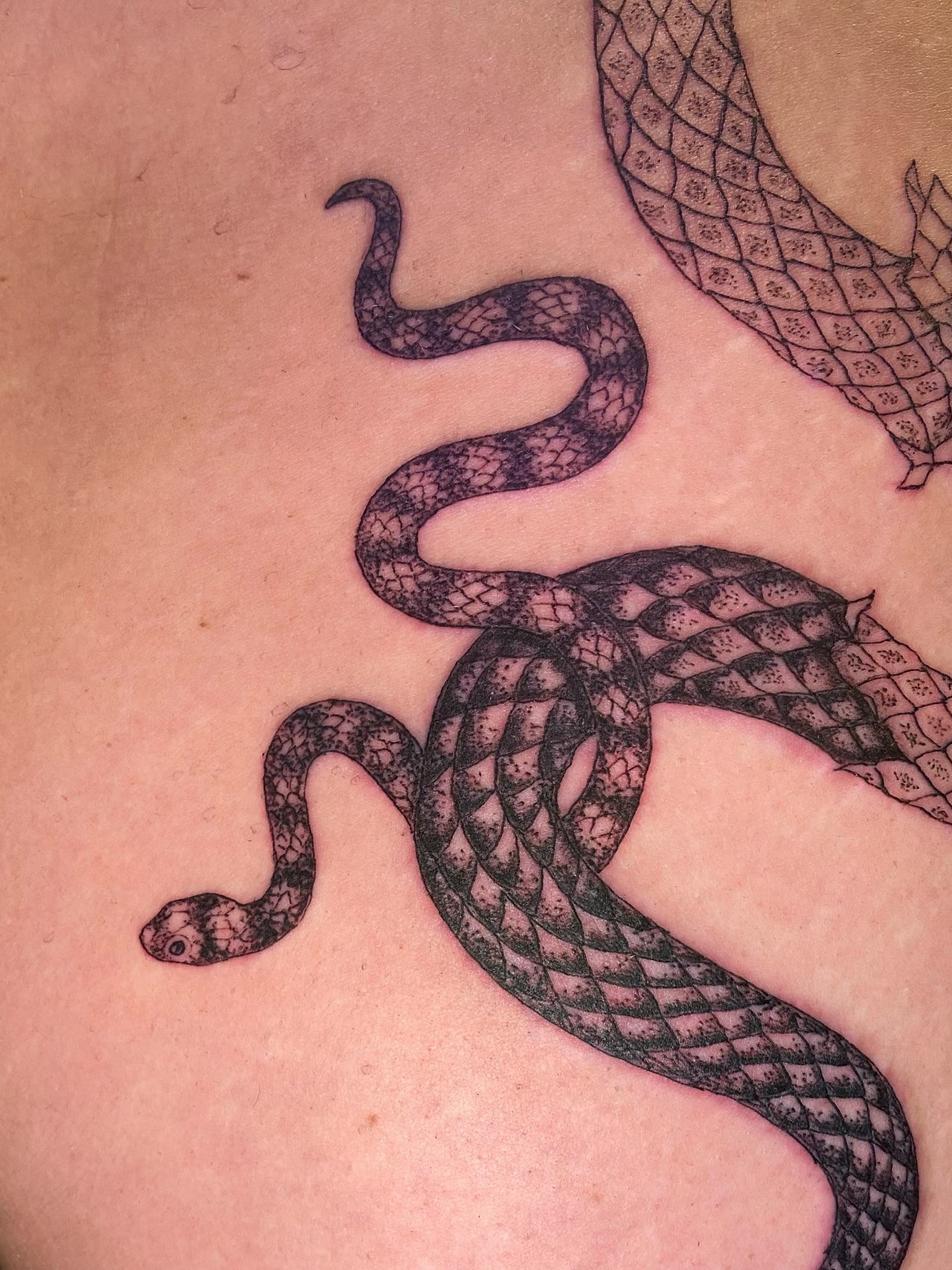 Tattoo by @axelhoney — black_and_grey