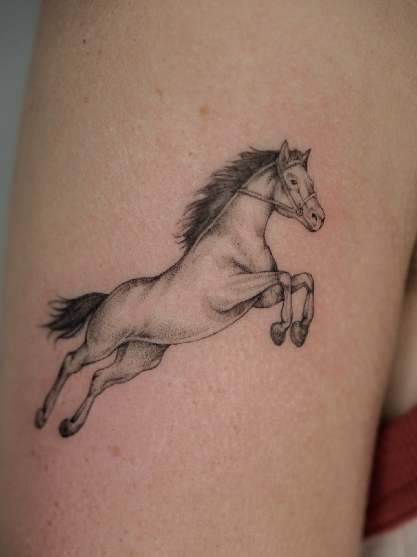 Tattoo by @emma.tattoos — dotwork, realism