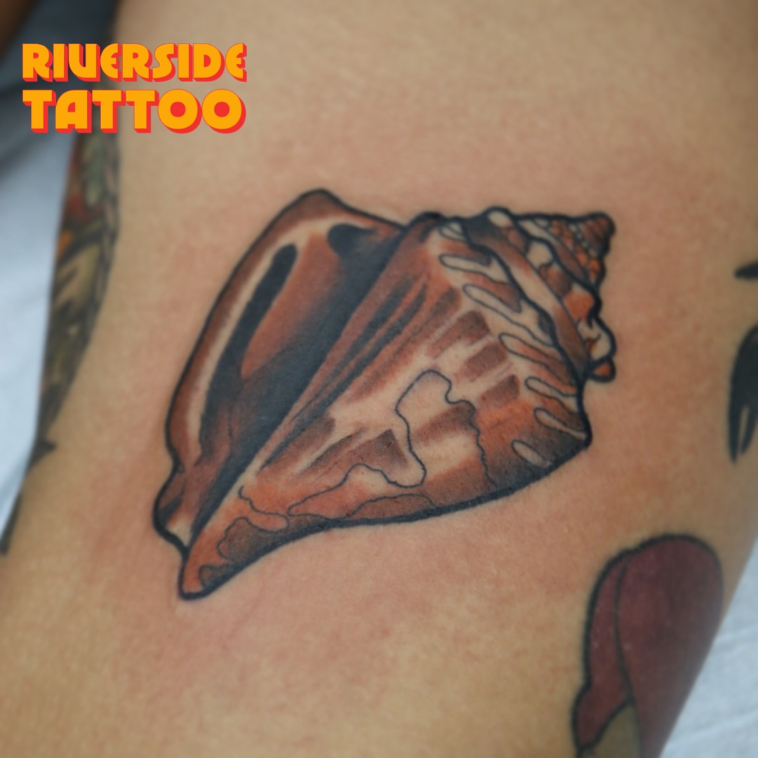 Conch shell realism tattoo on the thigh by Stephen Shaw