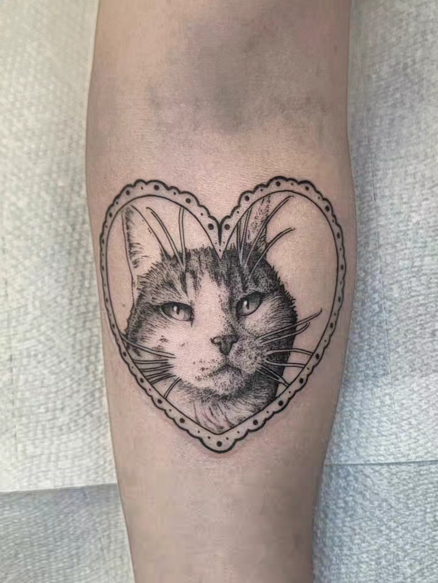 Cat dotwork tattoo on the forearm by Luca