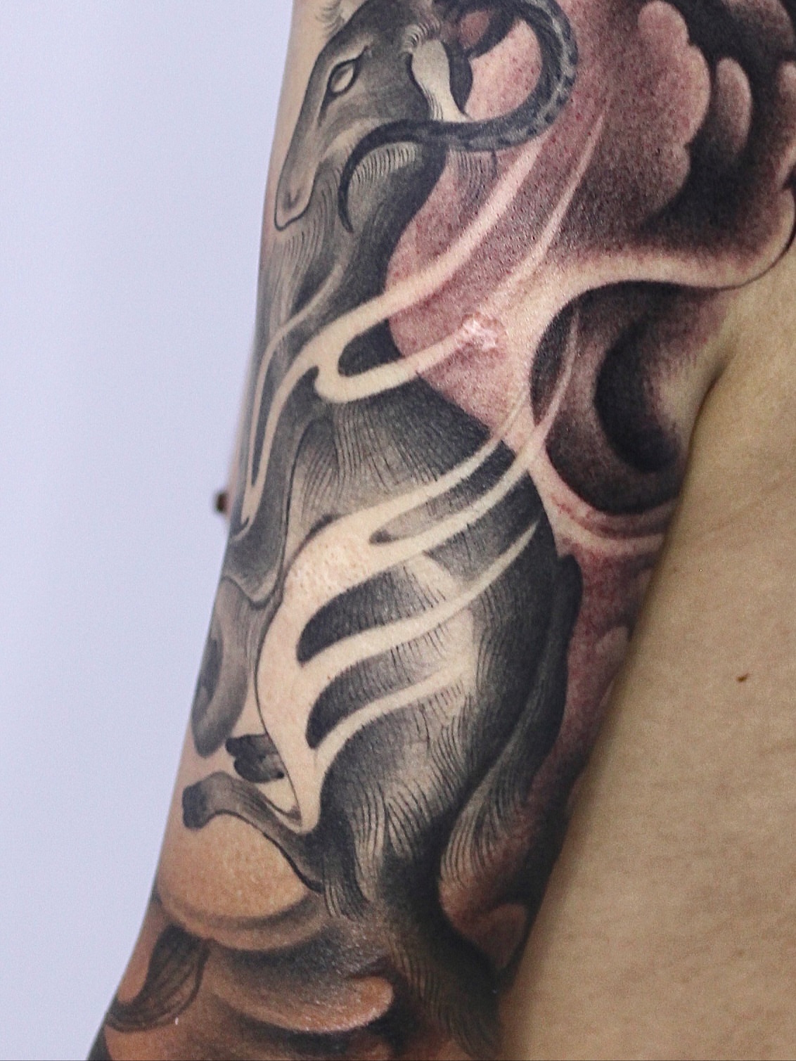 Bull black and grey tattoo on the forearm by 睿刺造物