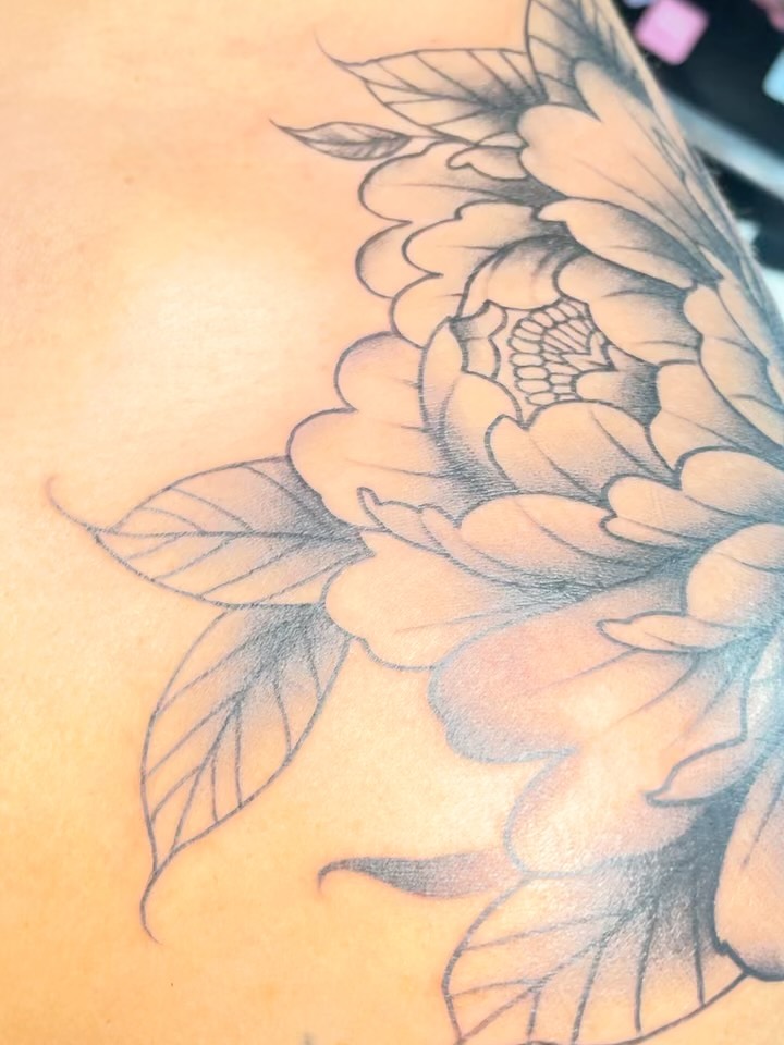 Peony black and grey tattoo on the shoulder by Natalie