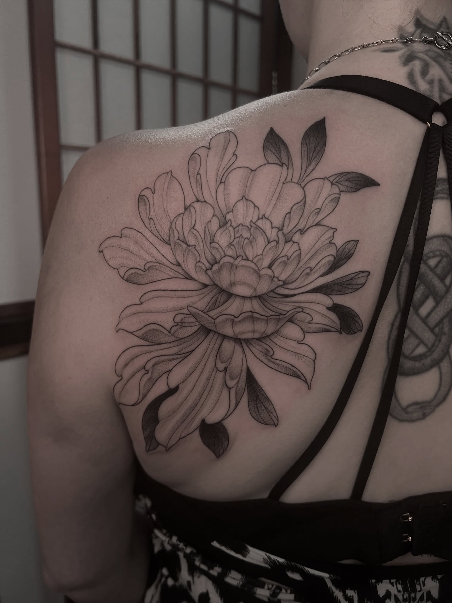 Chrysanthemum black and grey tattoo on the shoulder by Avrey Simone