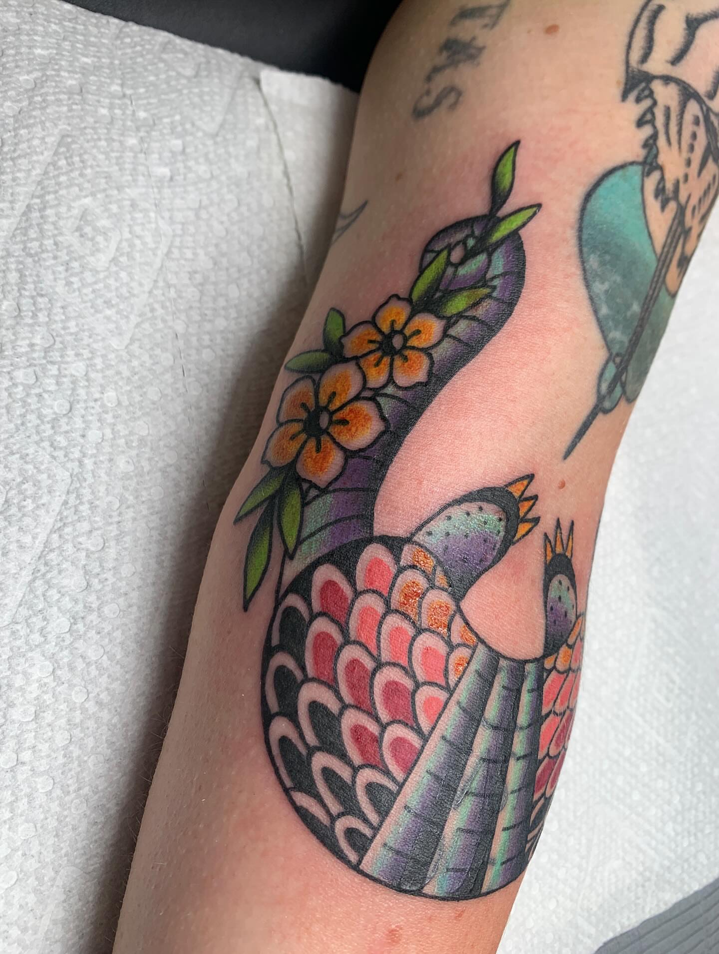 Peacock American traditional tattoo on the forearm by April Morris ⚔️ Tattoo Goblin