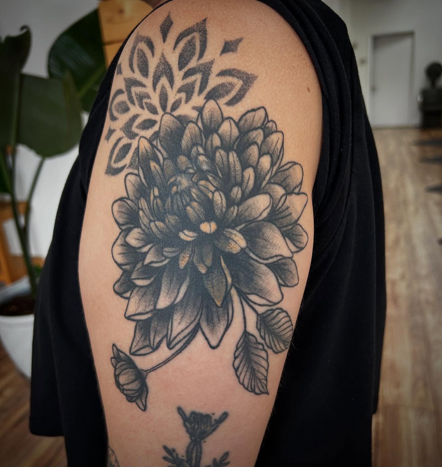 Chrysanthemum black and grey tattoo on the shoulder by ✶ 𝓑𝓲𝓽𝓮𝓼𝓲𝔃𝓮𝓭 𝓘𝓷𝓴 ✶, Buford, Georgia