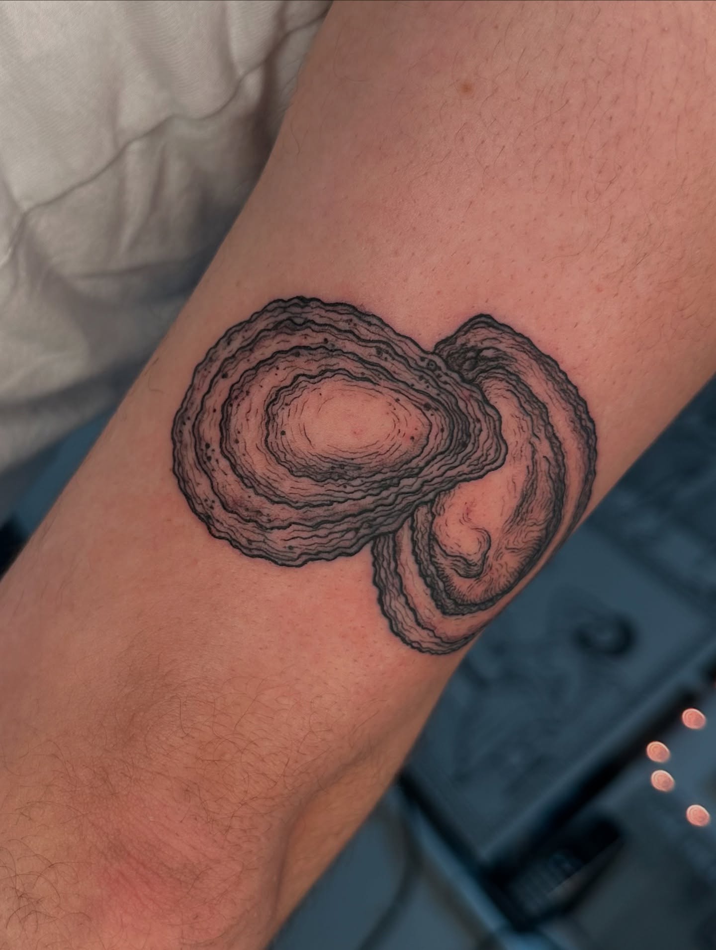 Tree rings black and grey tattoo on the forearm by Piccolino, Cambridge, Massachusetts