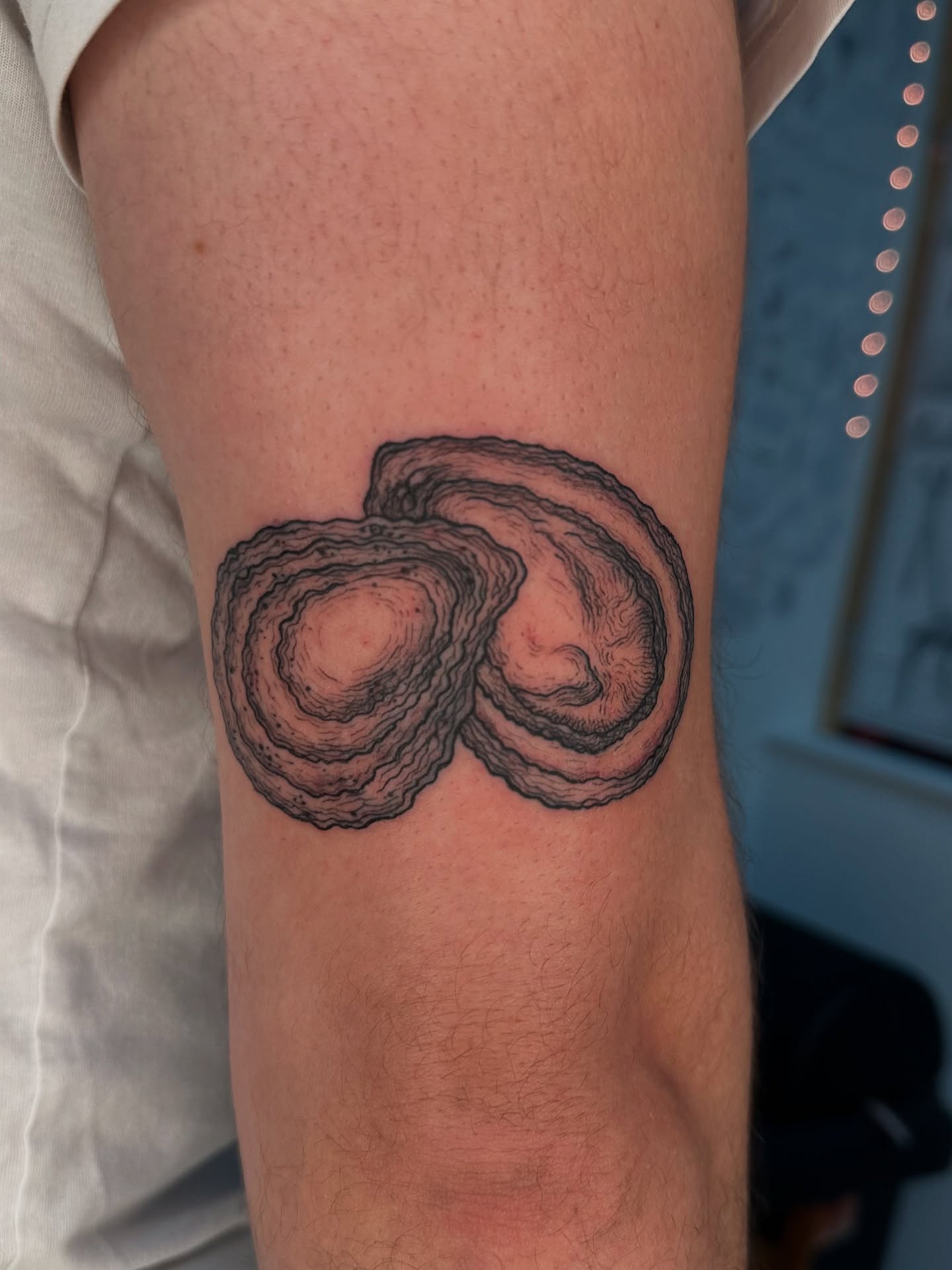 Tree rings black and grey tattoo on the forearm by Piccolino, Cambridge, Massachusetts