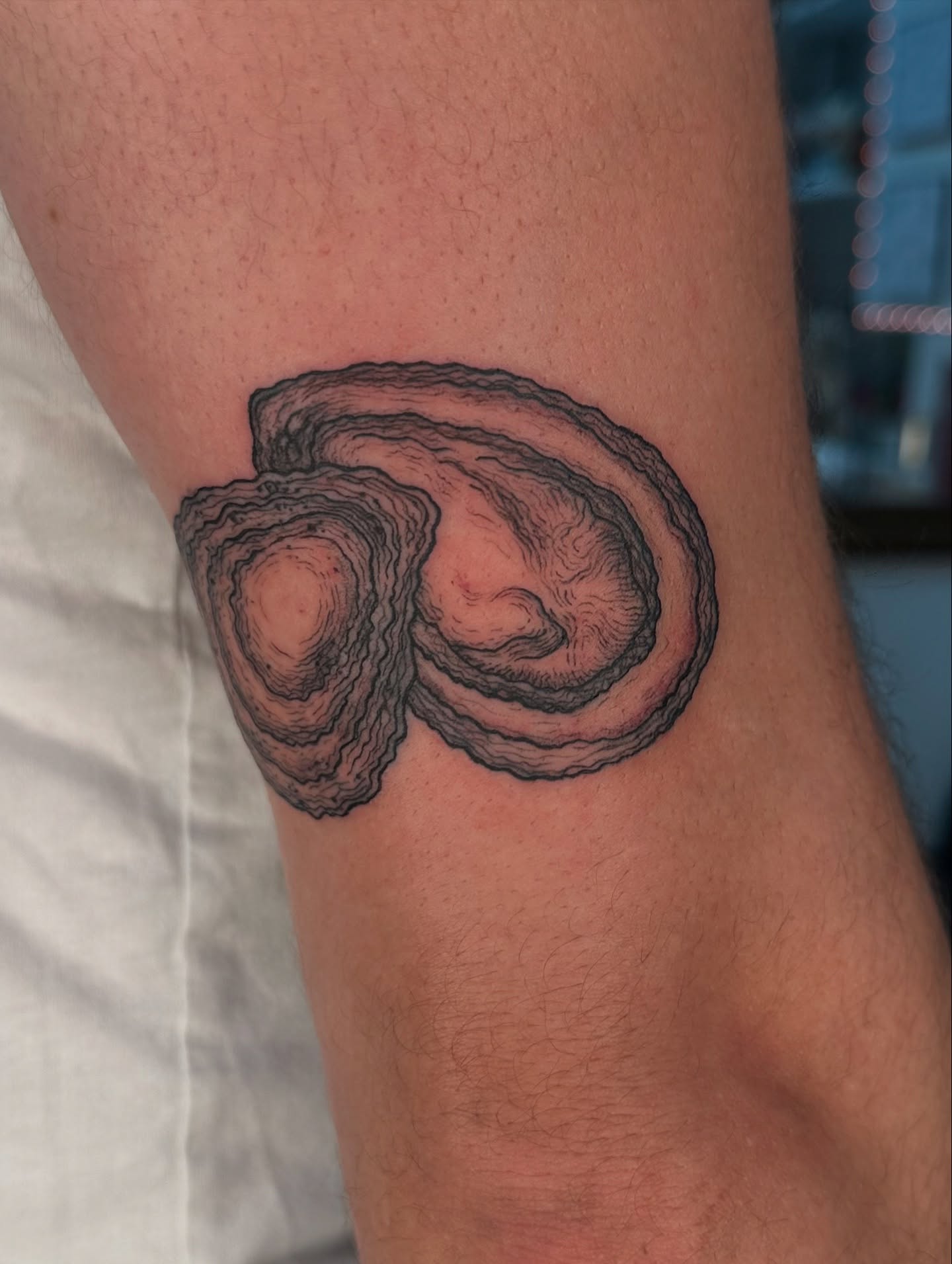 Topographic map black and grey tattoo on the forearm by Piccolino, Cambridge, Massachusetts