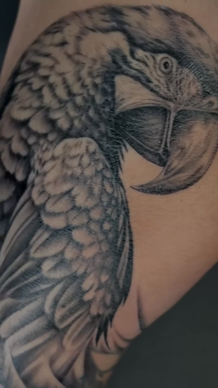 Tattoo by @taboo.tattoos_ — realism, black_and_grey