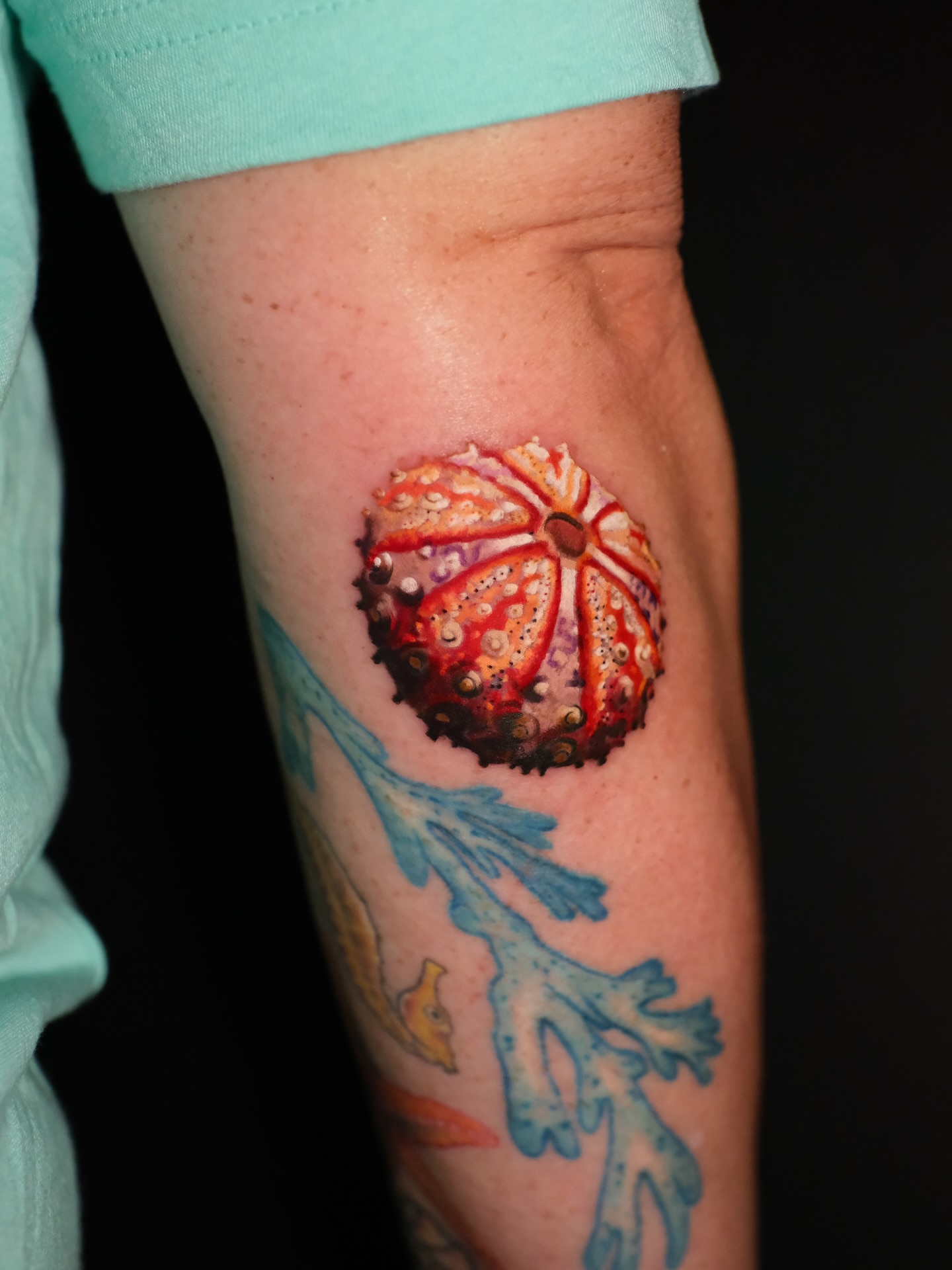 Sea urchin realism tattoo on the forearm by Josy Castro