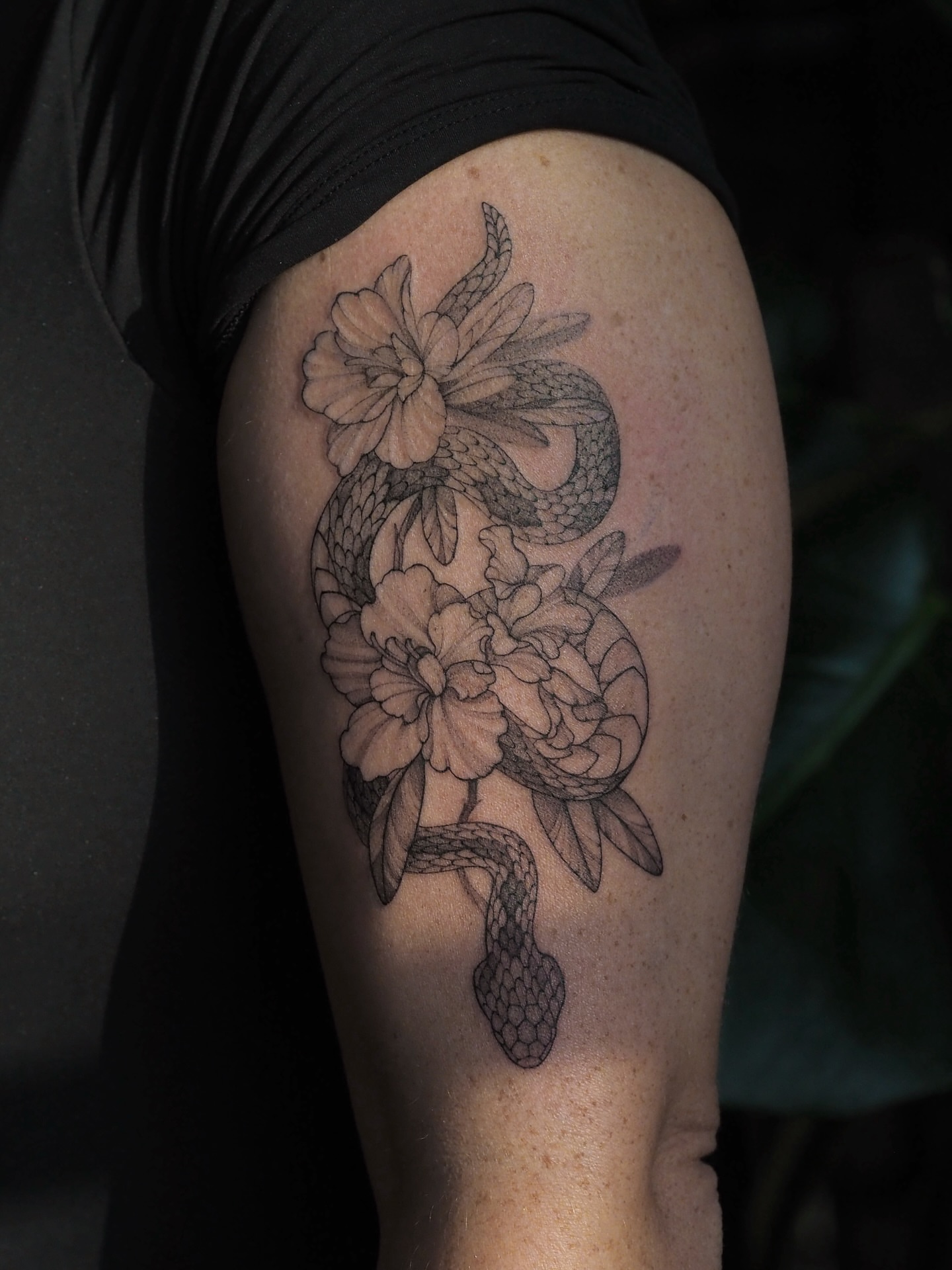 Tattoo by @pakhanova — black_and_grey