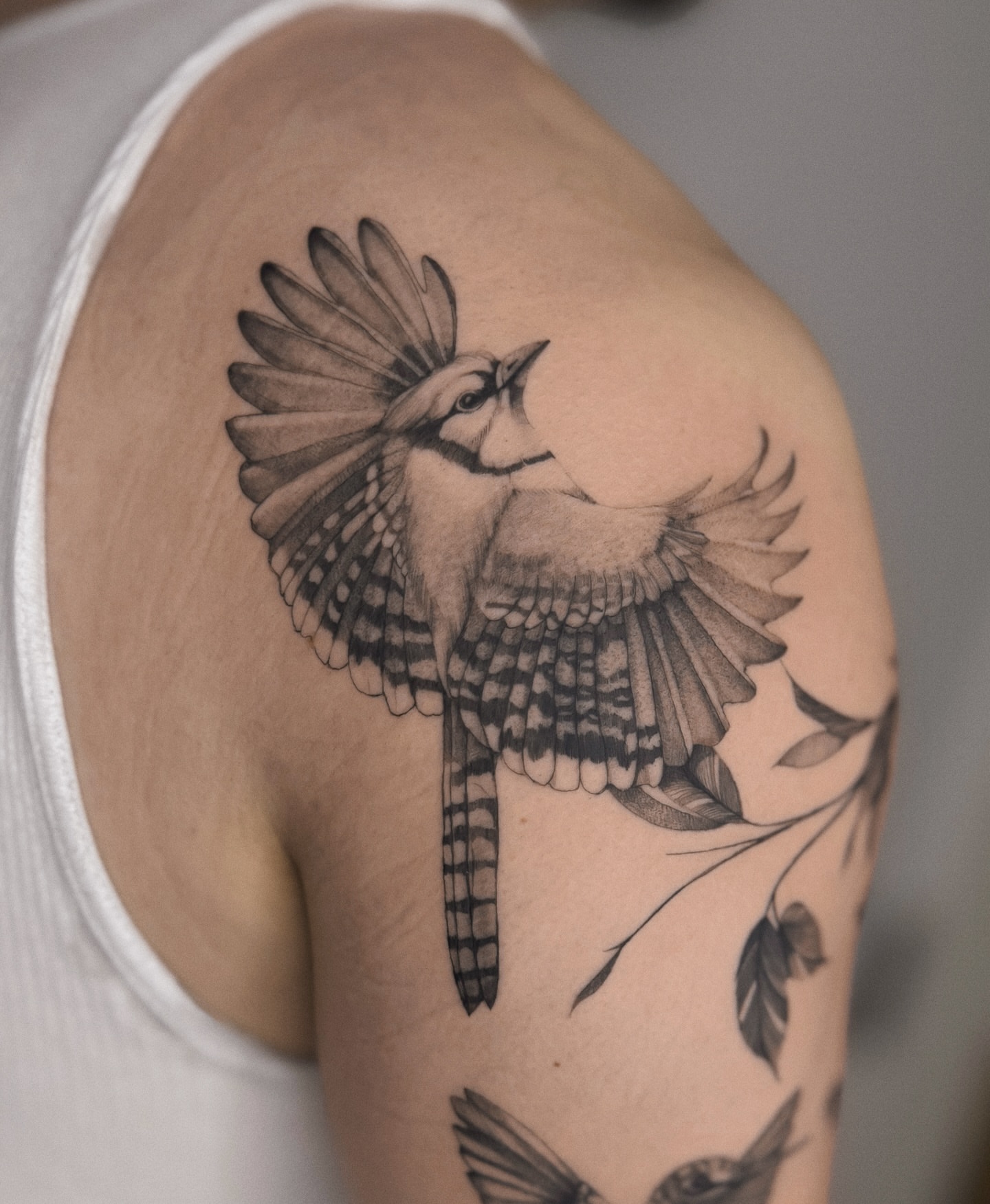 Blue jay black and grey tattoo on the shoulder by Blackwork & microrealism tattoos