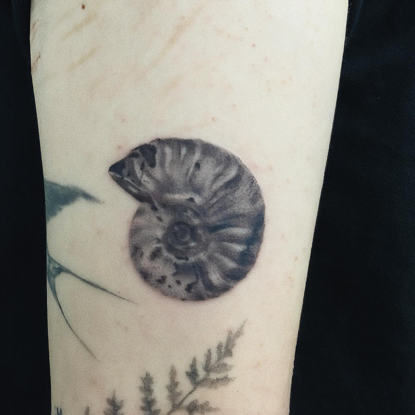 Tattoo by @nonoka_tattoo — black_and_grey