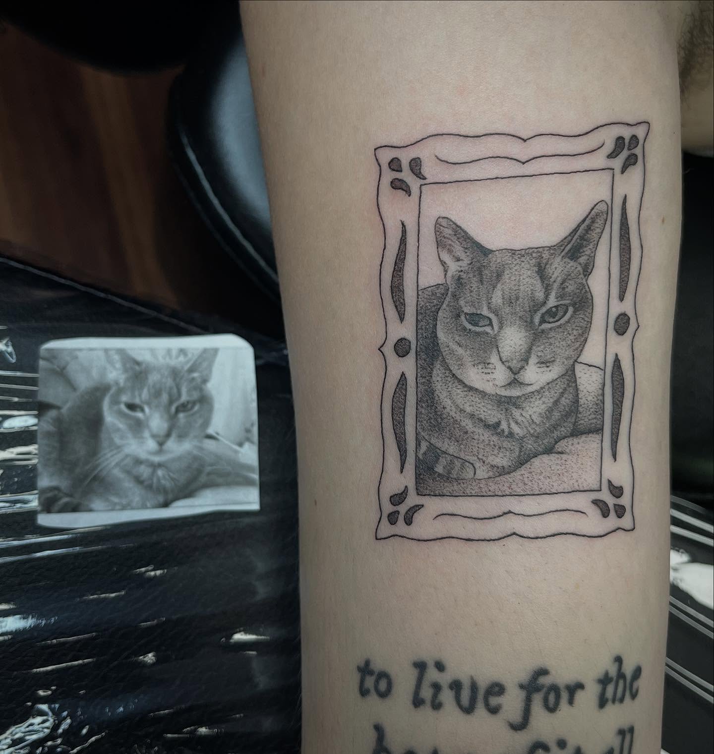 Cat portrait realism tattoo on the forearm by Kelli Donegan ๐ท