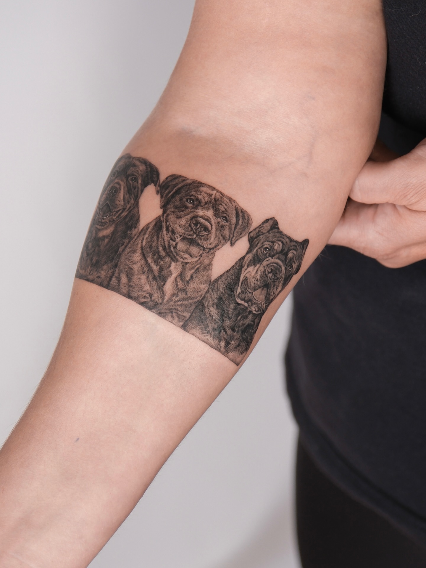 Dogs realism tattoo on the forearm by Kate