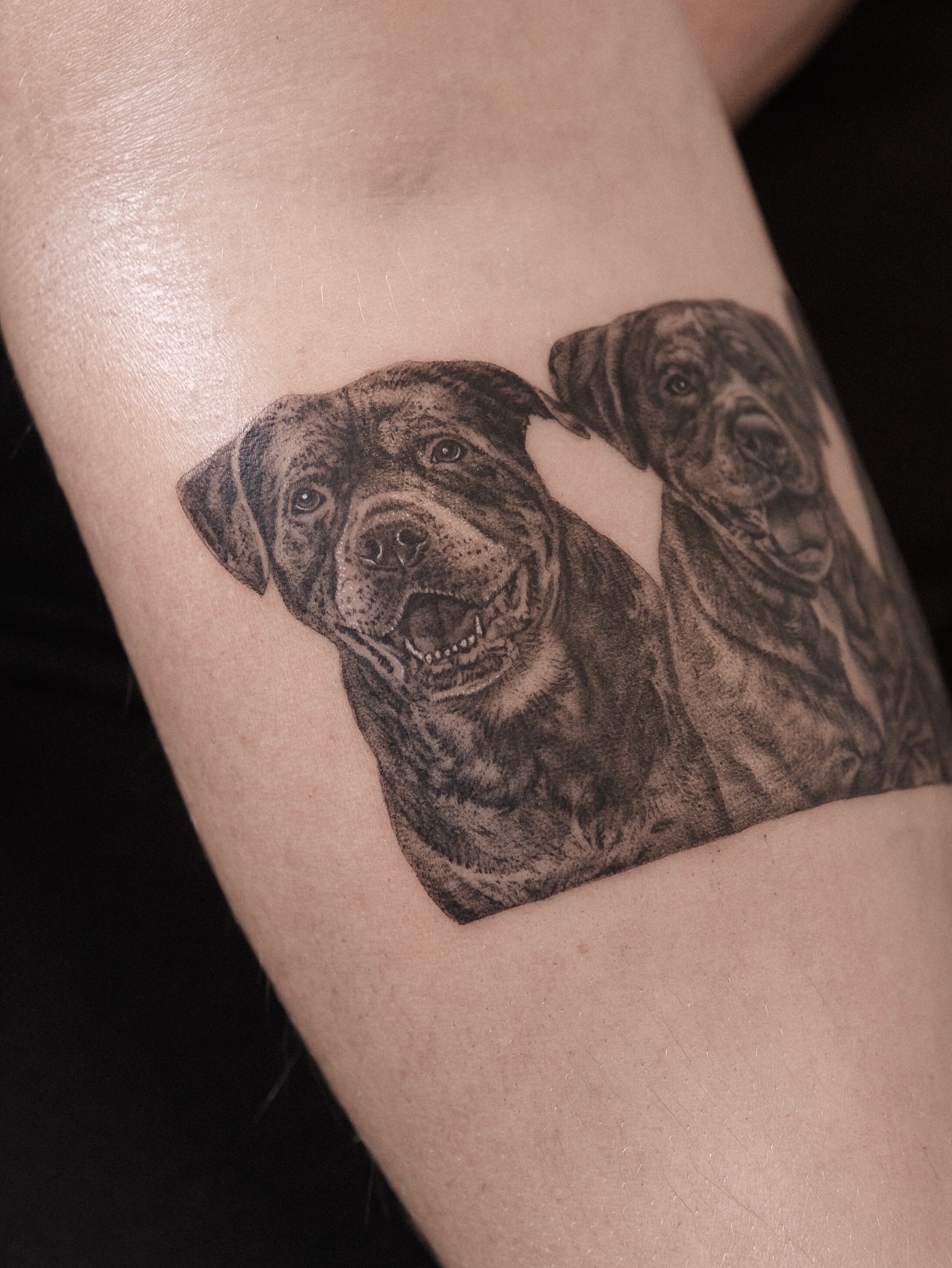 Tattoo by @bodybureau — realism, dotwork