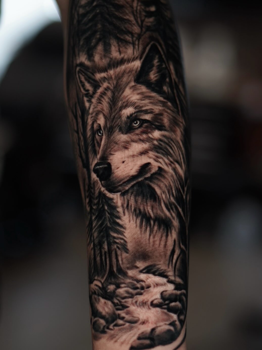 Wolf realism tattoo on the forearm by J Camilo Rincon