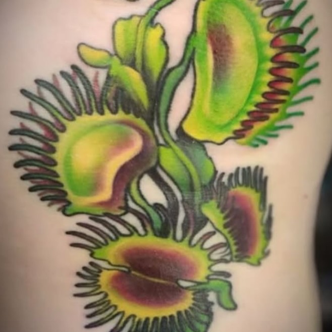 Venus flytrap American traditional tattoo on the torso by Hannah Casadonti