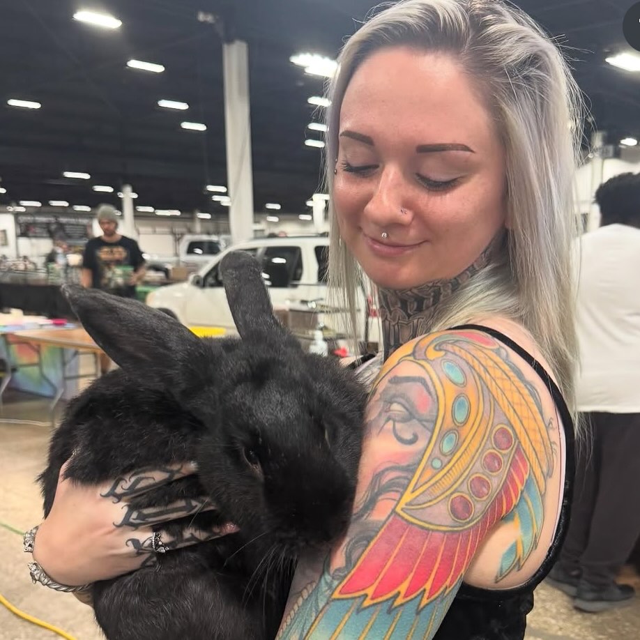 Raven neo-traditional tattoo on the shoulder by Hannah Casadonti
