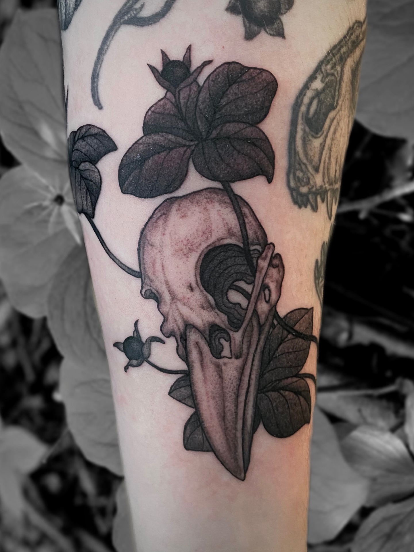 Tattoo by @meluusiine — black_and_grey, realism
