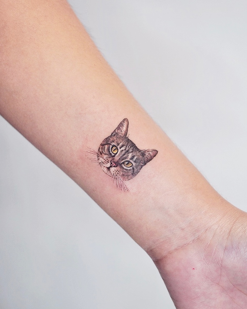 Cat realism tattoo on the forearm by Lily, Los Angeles, California