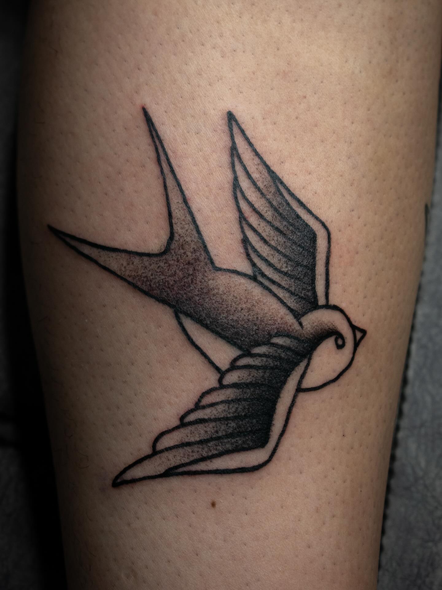 Swallow dotwork tattoo on the forearm by savannah