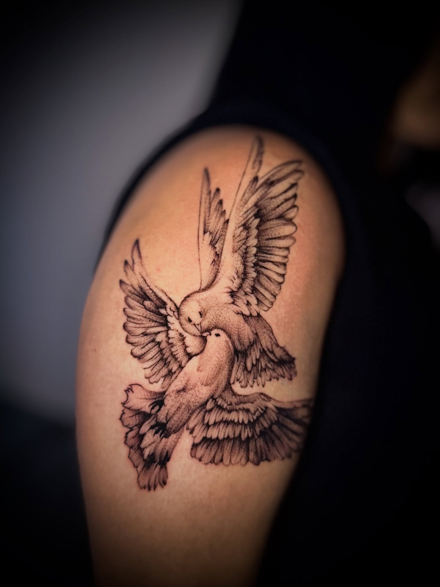 Doves dotwork tattoo on the shoulder by Tattoo Artist based in Dallas Tx
